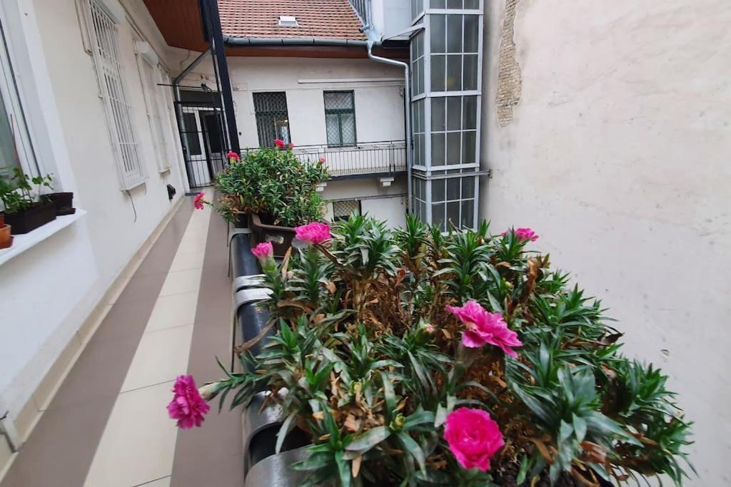 Violet Apartment With Air Condition بودابست المظهر الخارجي الصورة