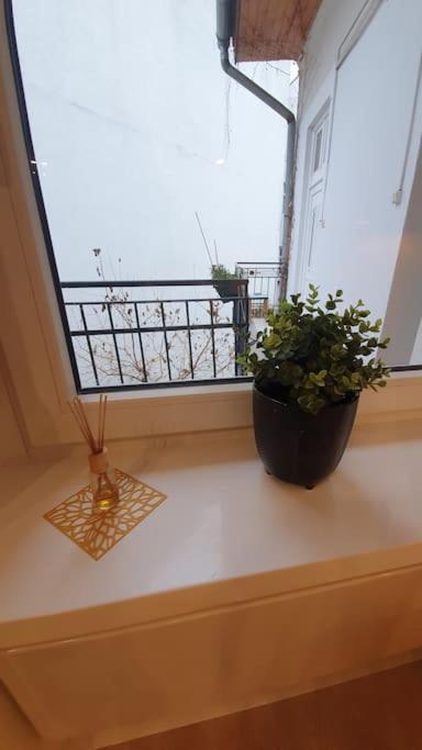 Violet Apartment With Air Condition بودابست المظهر الخارجي الصورة